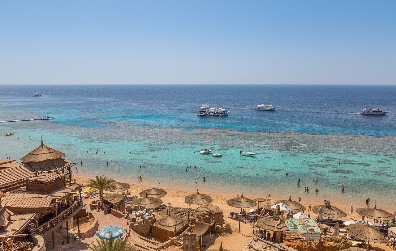 Egypte récif corail
