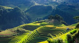 Le Vietnam: voyage et séjour à moitié prix