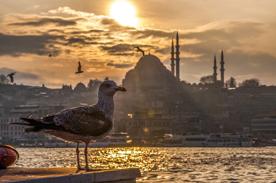 Turquie pas cher