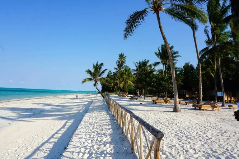 Club Framissima Paje Palms Beach Resort (Vol de nuit) 4*- Zanzibar
