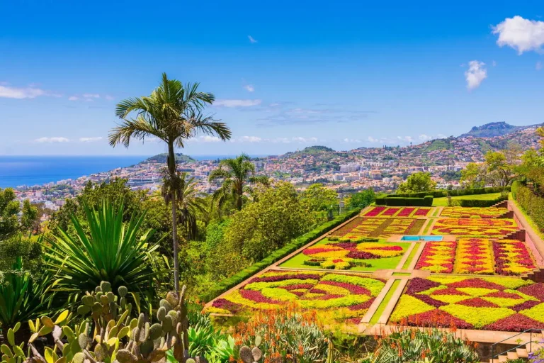 Circuit Nature et traditions 3* | Funchal
